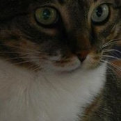 Lori Harbrecht's photo