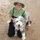 Dianne Droster