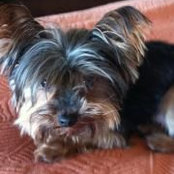 Annie Molnar's photo