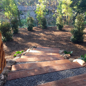 Orinda Oak Forest Landscape and Lighting