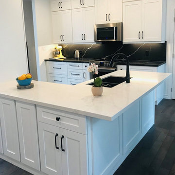 Black & White Kitchen Project