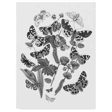 Wild Apple Portfolio 'Butterfly Bouquet IV Linen Bw IV' Canvas Art