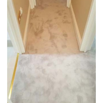 Luxury Carpet Installation to Living Areas