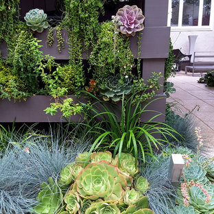 Idées déco pour un petit jardin contemporain avec une exposition partiellement ombragée.