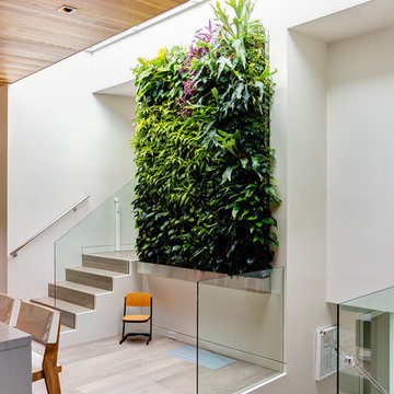 Garden Wall Residence