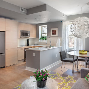 ワシントンD.C.の小さいコンテンポラリースタイルのおしゃれなキッチン (シングルシンク、フラットパネル扉のキャビネット、淡色木目調キャビネット、クオーツストーンカウンター、ベージュキッチンパネル、セラミックタイルのキッチンパネル、シルバーの調理設備の) の写真