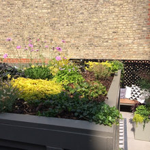 green roof