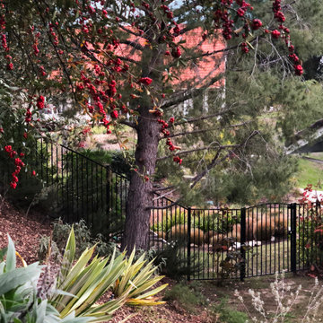 Topanga Canyon Hideaway