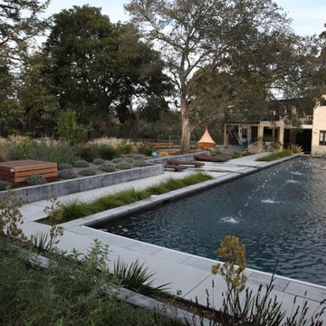 Palo Alto Contemporary Retreat