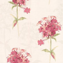 walls