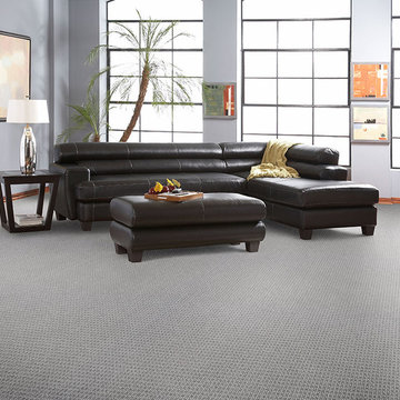 Dabbieri Collection