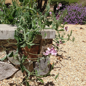 Sweet peas in a country garden raised bed