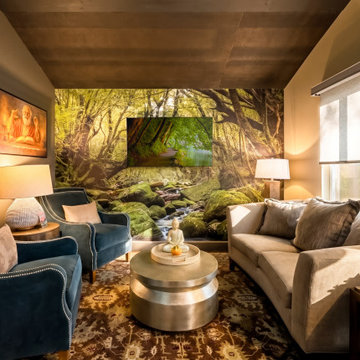 Nature-Inspired Media Room