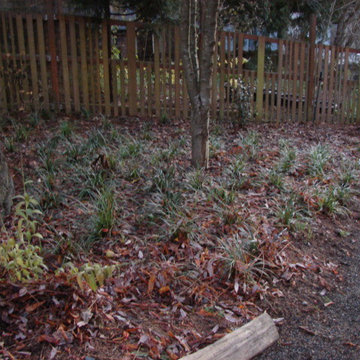 Home Lot Renovation - N. Seattle, WA