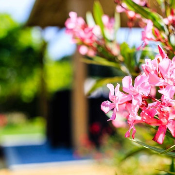 Création et aménagement d'un jardin