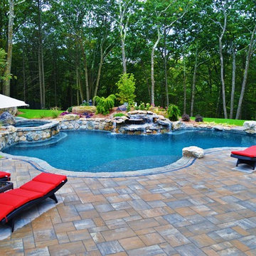 Freeform Pool with Spa Combo 2017