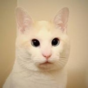 Yutaka Sumiyoshi's photo