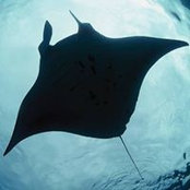 Mathieu Vitri's photo