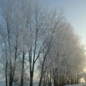 Foto di Tracey Strieter