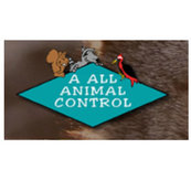 A All Animal Control Of Denver Lakewood Co Us 80401 A All Animal Control Of Denver