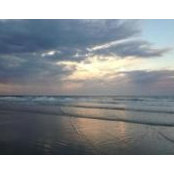 Chad Ramsey's photo