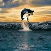 Jay Reynons foto