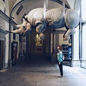 Dasha Vinokurova's photo