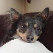 El Benny's photo