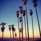 Azadeh Ghafari's photo