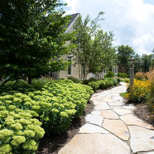 backyard redo