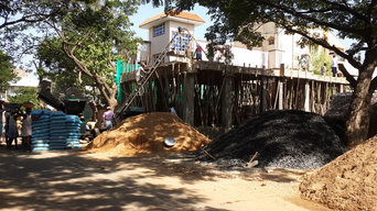 Jhanvi's Kalpavriksha
