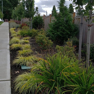 NEW LANDSCAPE DESIGN