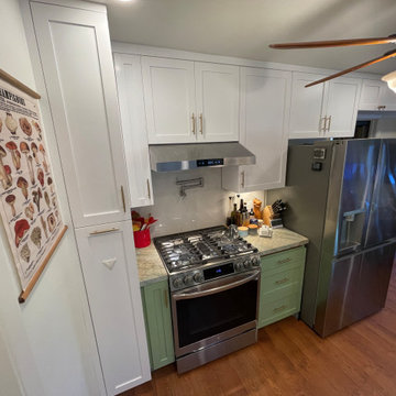 Kitchen Remodel 2024 Oakland/ white and light green