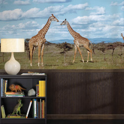 National Geographic Murals - Wall Decals