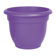 Wish List