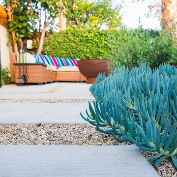 Culver City - Backyard