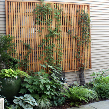 Plant Lover's City Garden