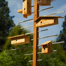 Outdoor DIY