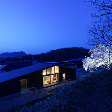 森の大屋根