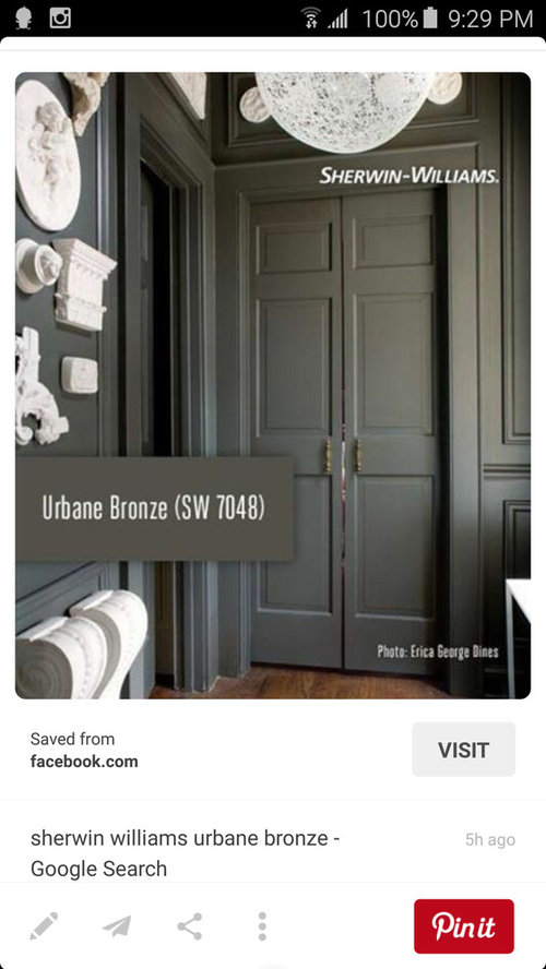 Should I paint my grey!?