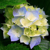 Alia Al Seeri's photo
