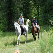 Debbie Bartholomew's photo