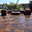 Champ Lawson Landscaping