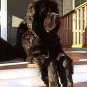 Danielle Keaney's photo