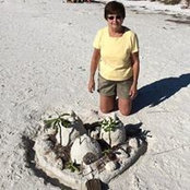 Judy Snapp's photo