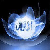 M Sajjad Maliks foto