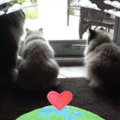 Corinne Boyes's photo