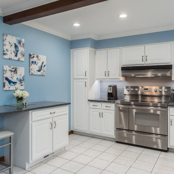Transitional Kitchen Remodel in a Snow White Classic Square raised Door