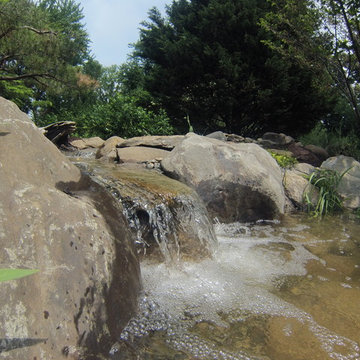 Pond Renovation