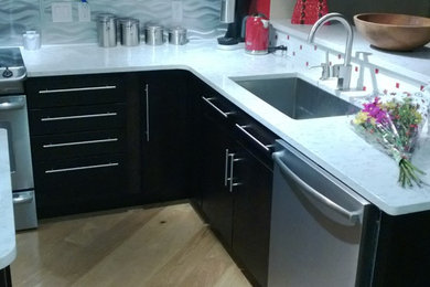 Inspiration for a modern kitchen remodel in Tampa